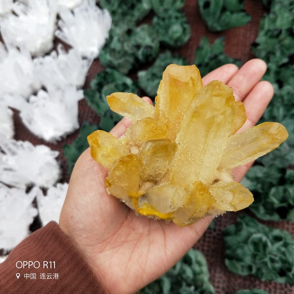 11㎏　希少 水晶 超特大クラスター　天然　イエロー　クリスタル　原石 楽天市場】天然 黄金 水晶 クラスター 約37.1kg 高さ約39cm 送料無料